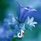 我的快乐就是想你