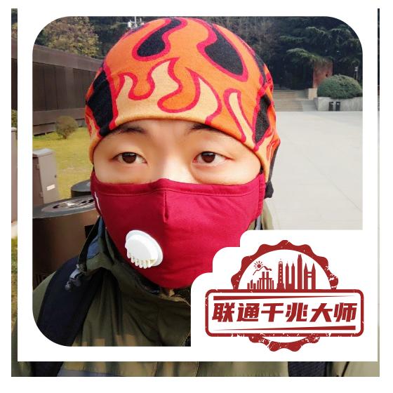 羽化石