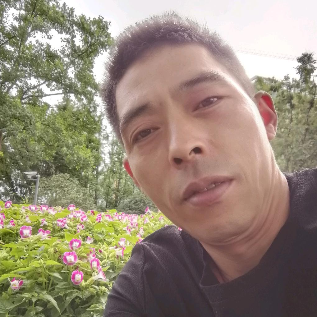 花开富贵.