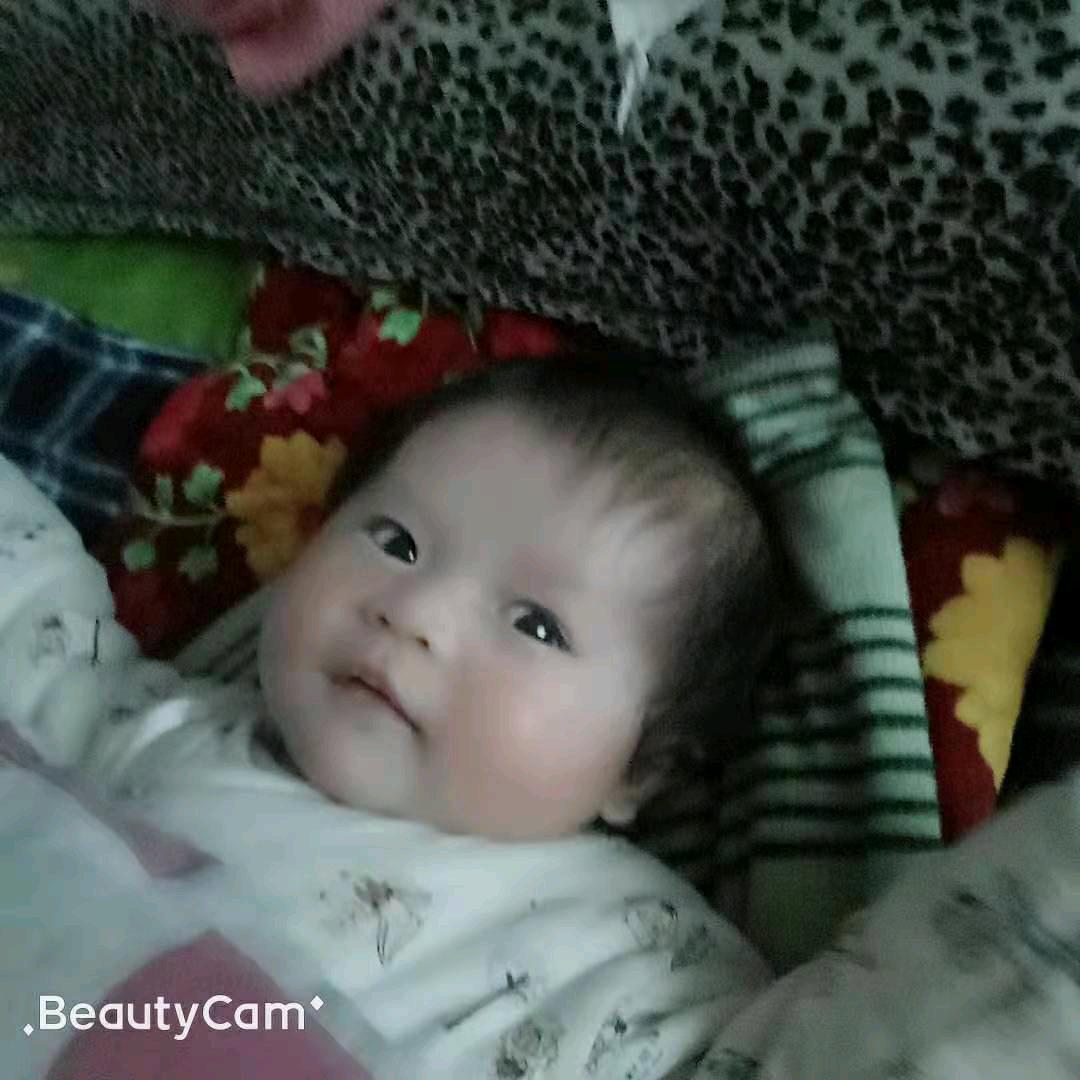 琪琪