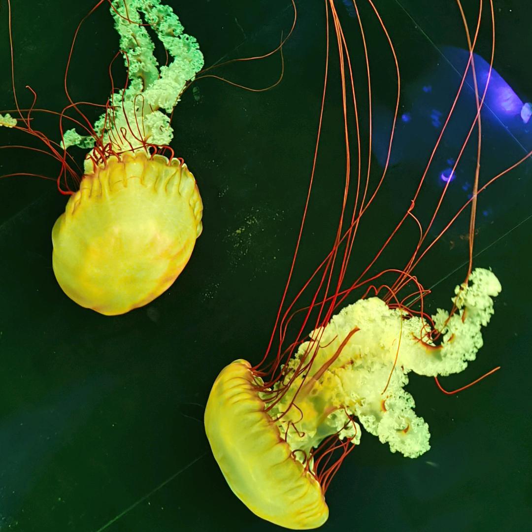 ༺ཽ赶路ོྂཾ࿆℘人࿆ྂ࿐