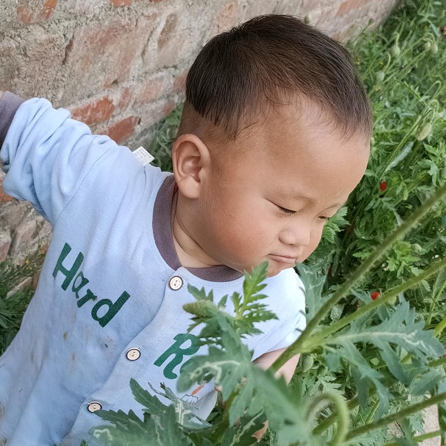 小星星🥰