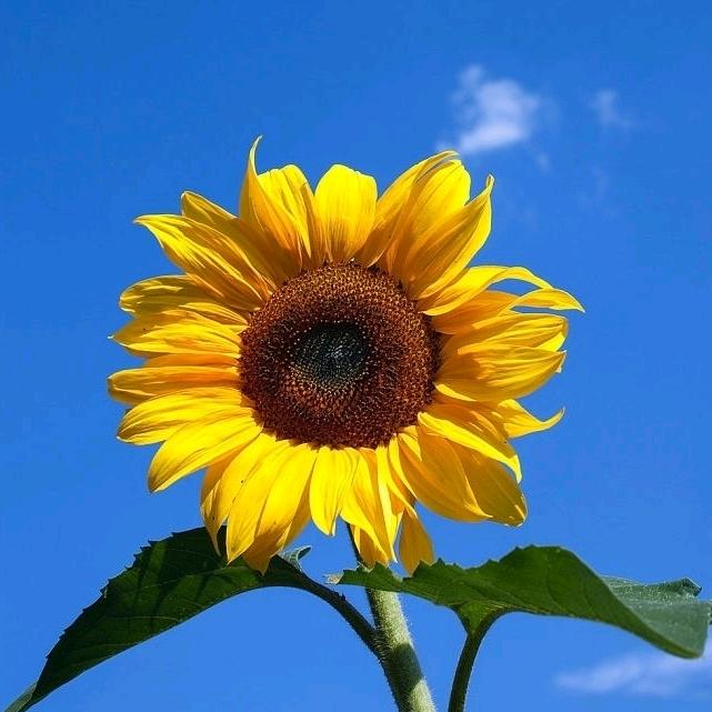 三生万物(金燕文化馆）