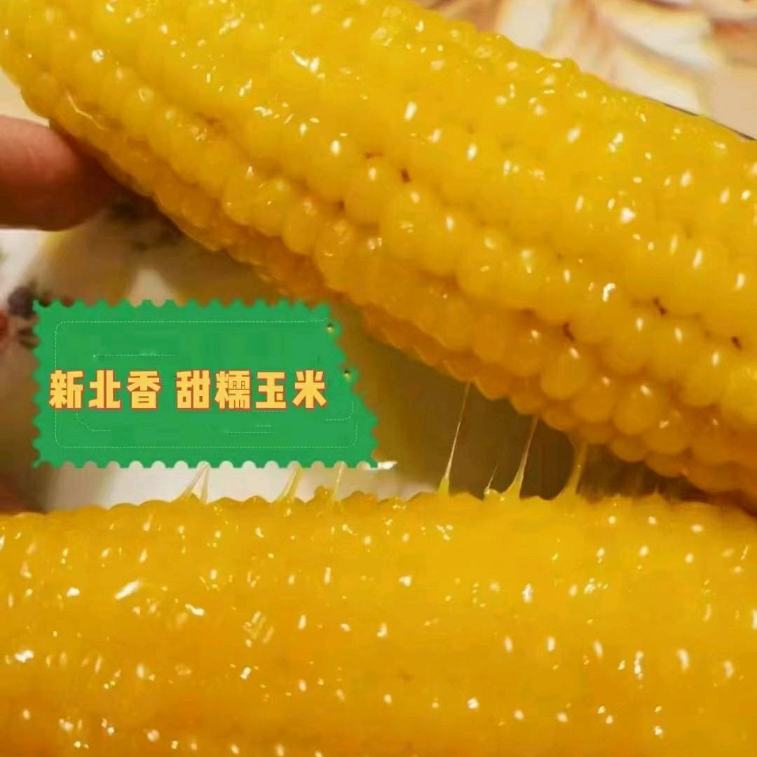 脆皮玉米