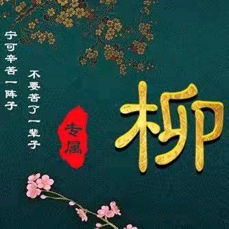 晋M  你柳哥