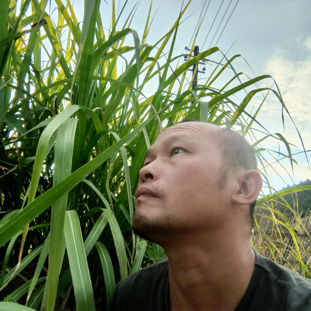 山里小强（大蛙神）百货商行.