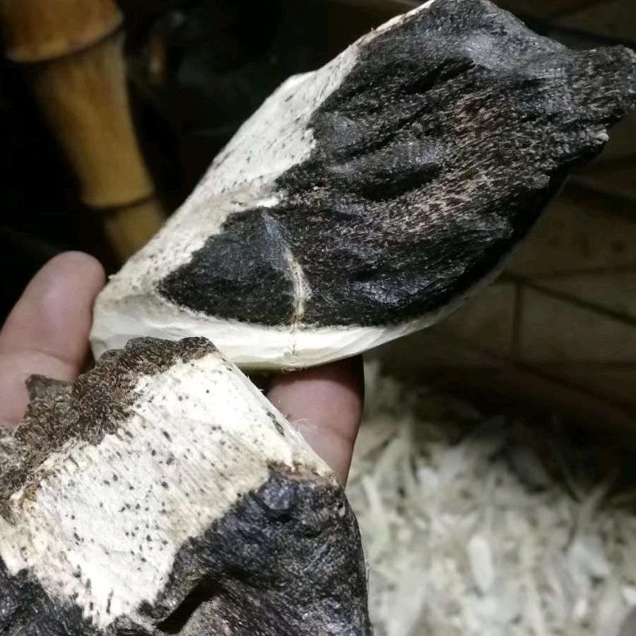 异香阁
