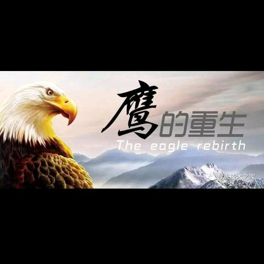 蜕变的鹰