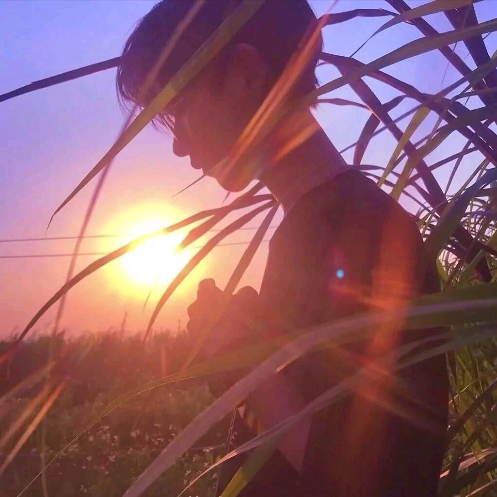 仙王的日常生活。