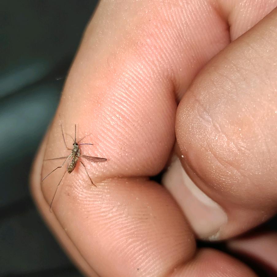 烟酒哄我半颗心