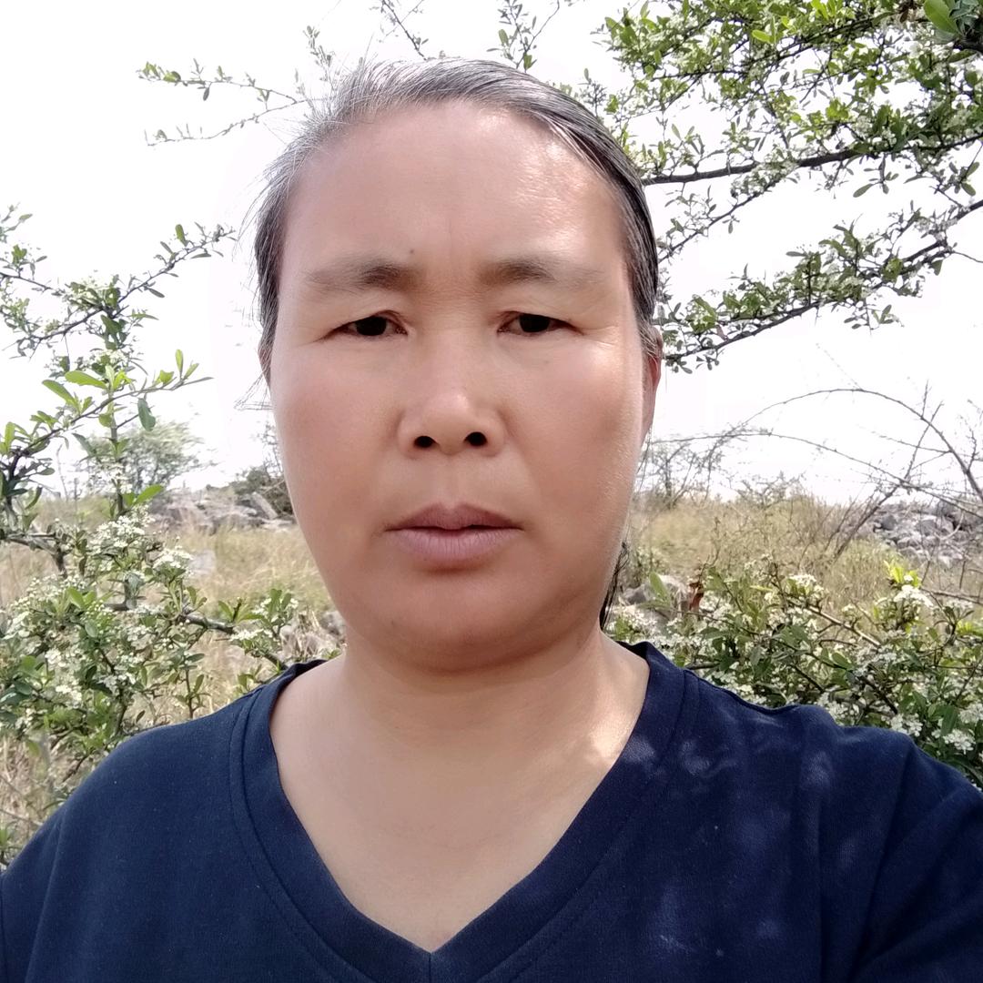 会情