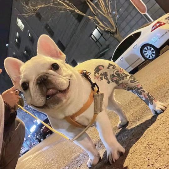 Djhappy B（刘百乐）