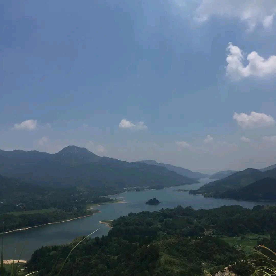 庆想乐