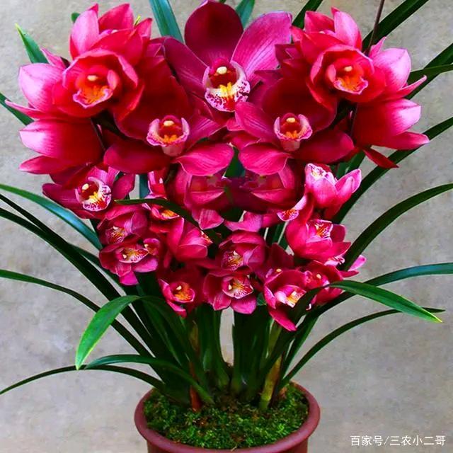 奔向美好未来