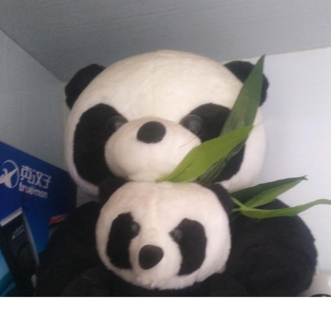 心急吃不了热豆腐