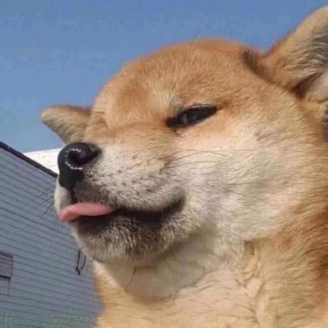 狗中之皇