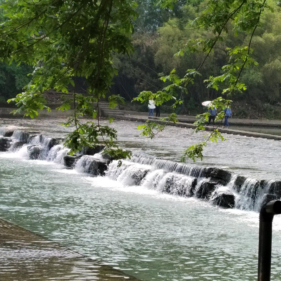 🕊一家人❄️❄️