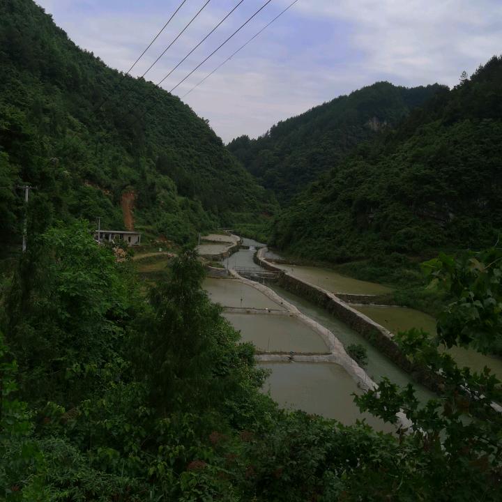 思南县大河坝镇联山种养殖专业合作社