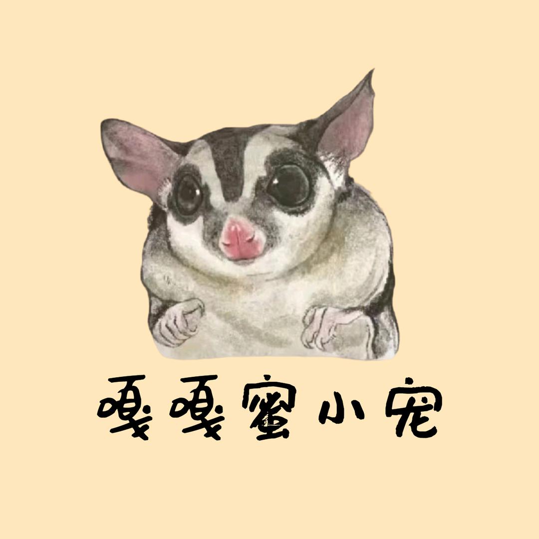 蜜袋鼯宠物用品