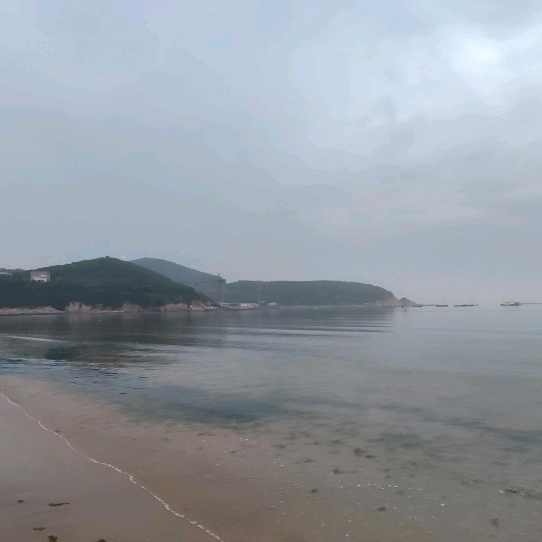 普斯托夫·张