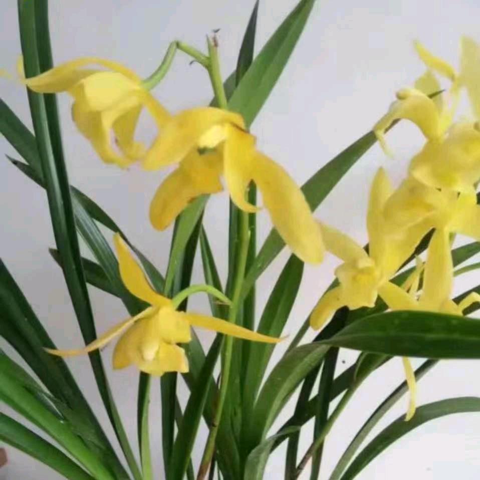 《小郑》你若安好，便是晴天！