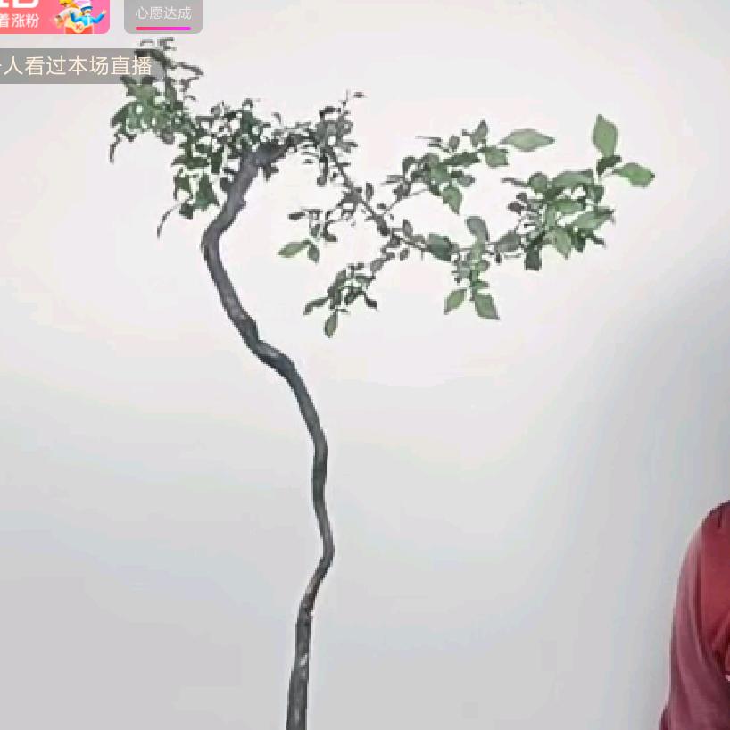 Luis1124