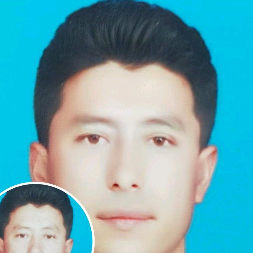 图尔荪