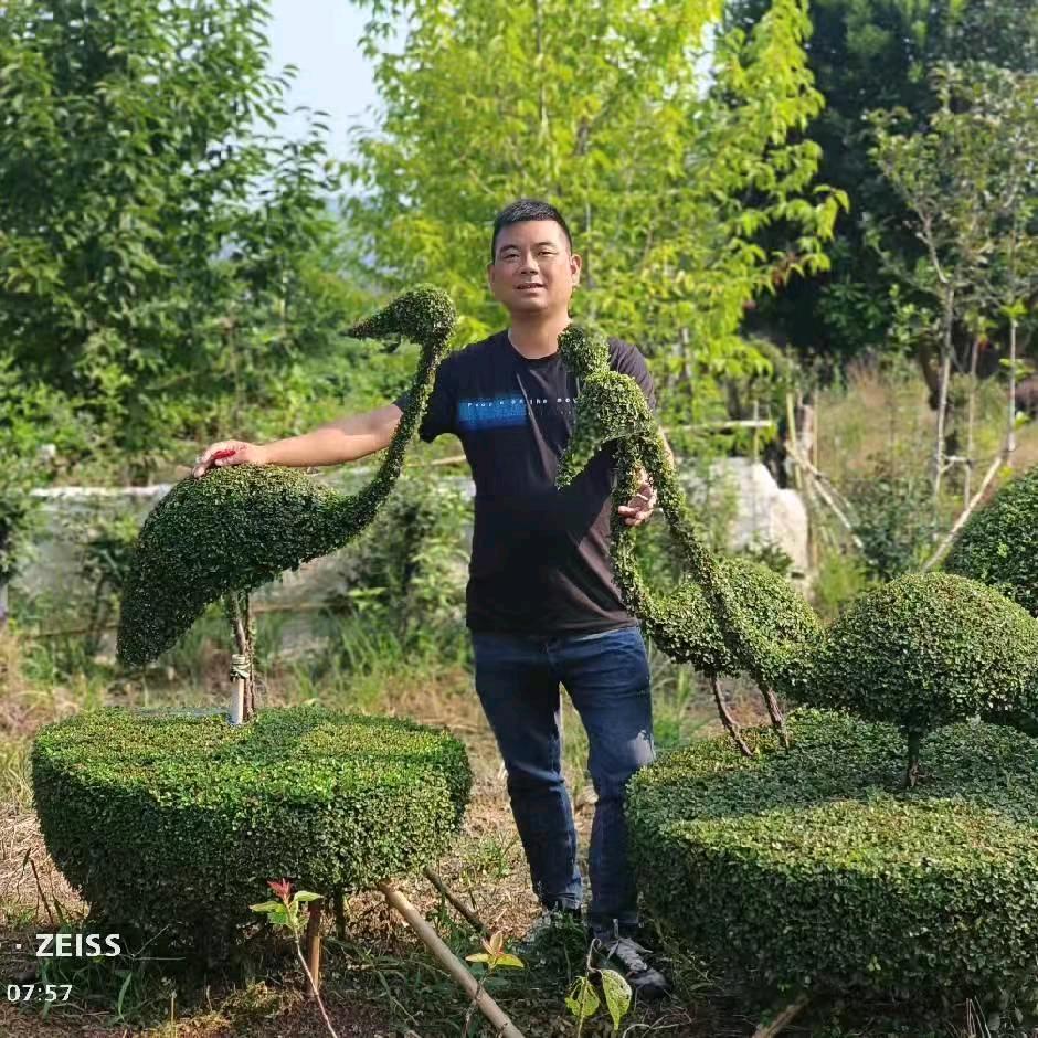 长兴曾君苗木场