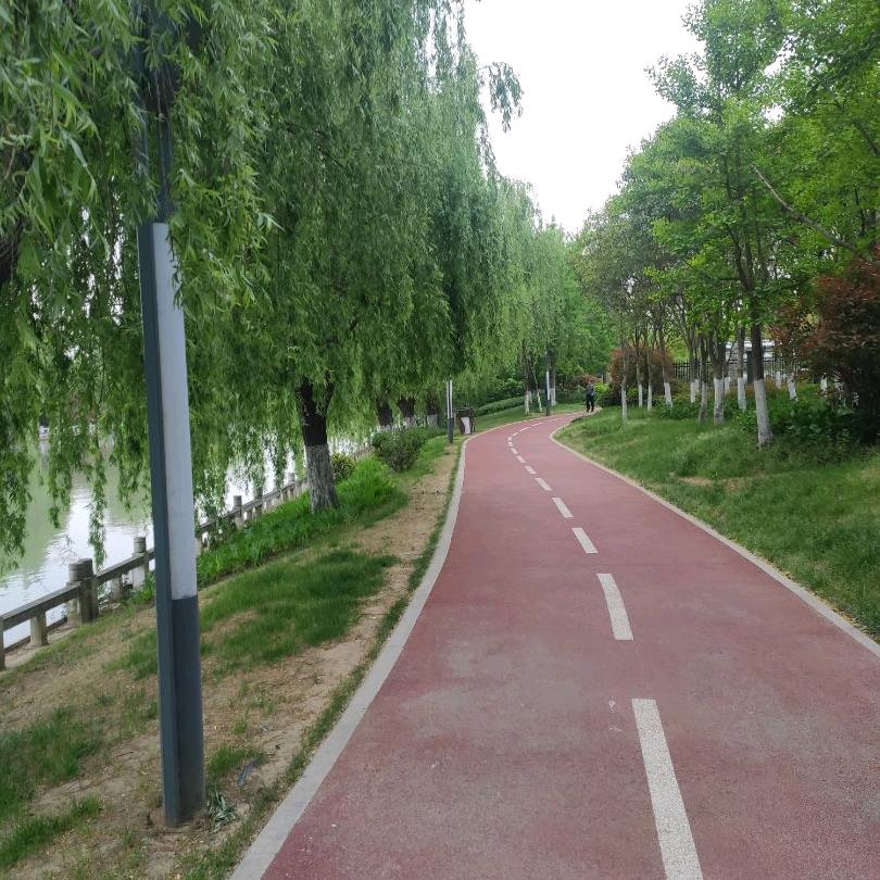 带刺的玫瑰用户9573896993255