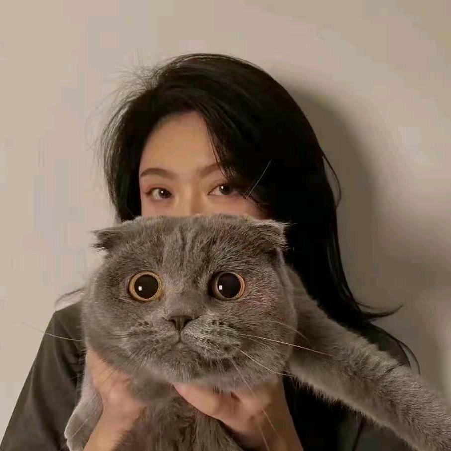 爱想象的林小主🉑