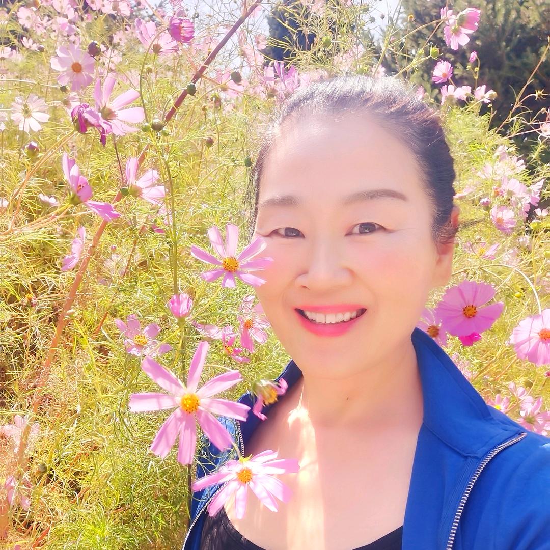 花云花雨