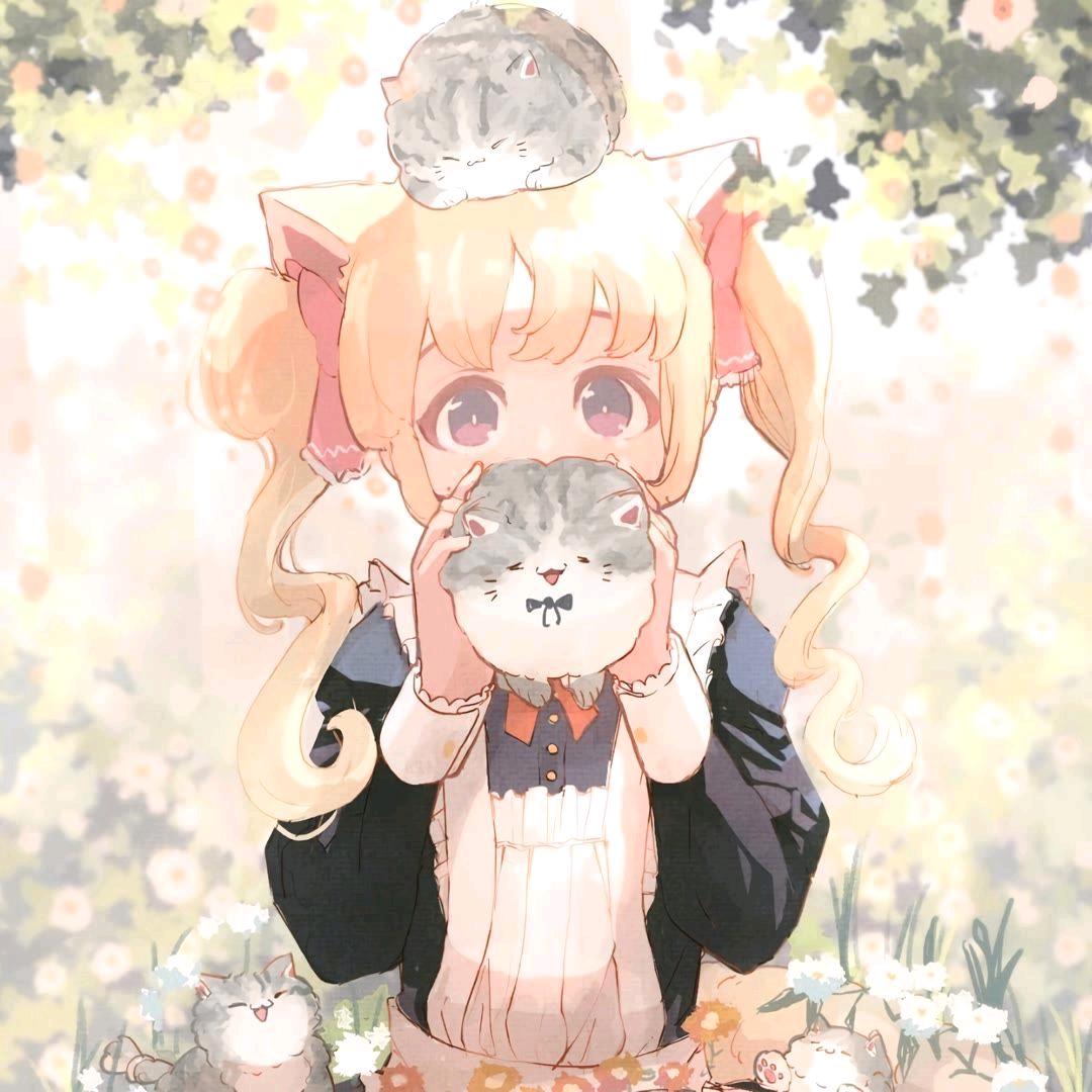 仲夏♬