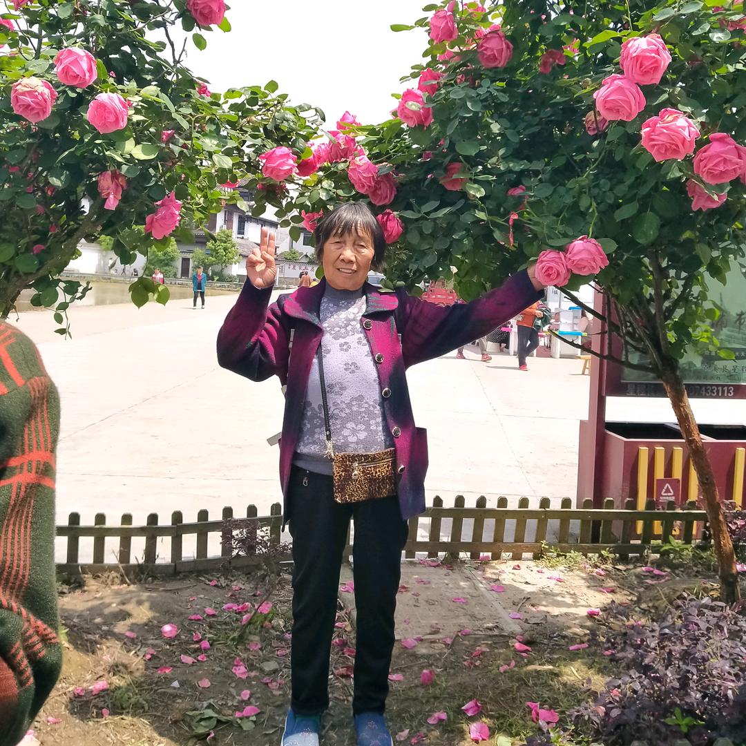 九月九晚年开心