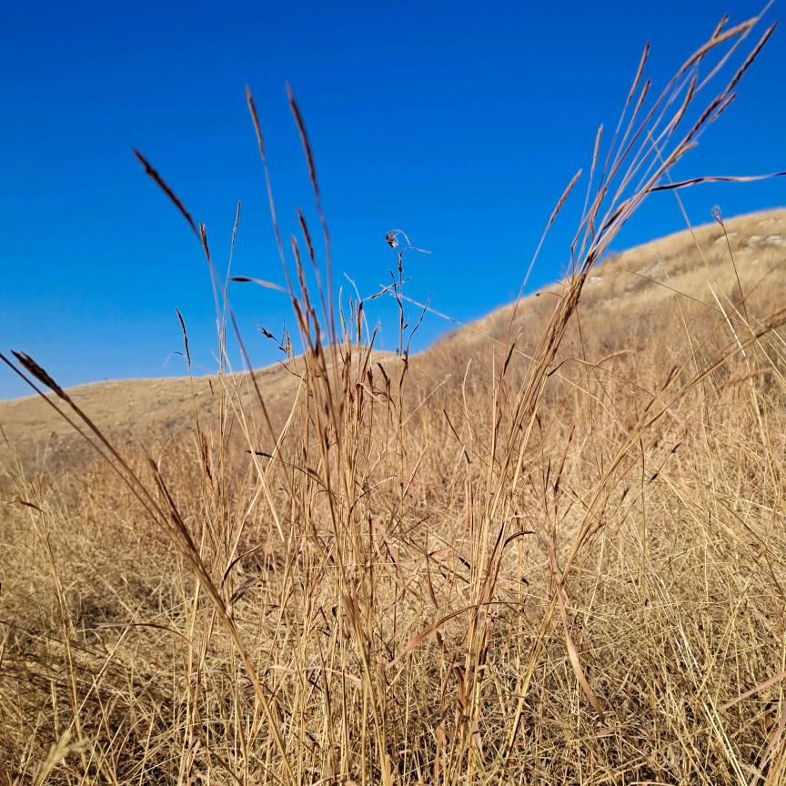 人生如逆旅，我亦是行人
