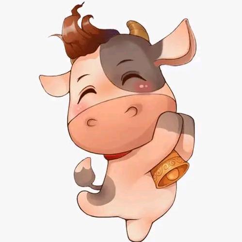 河南小牛@抖音