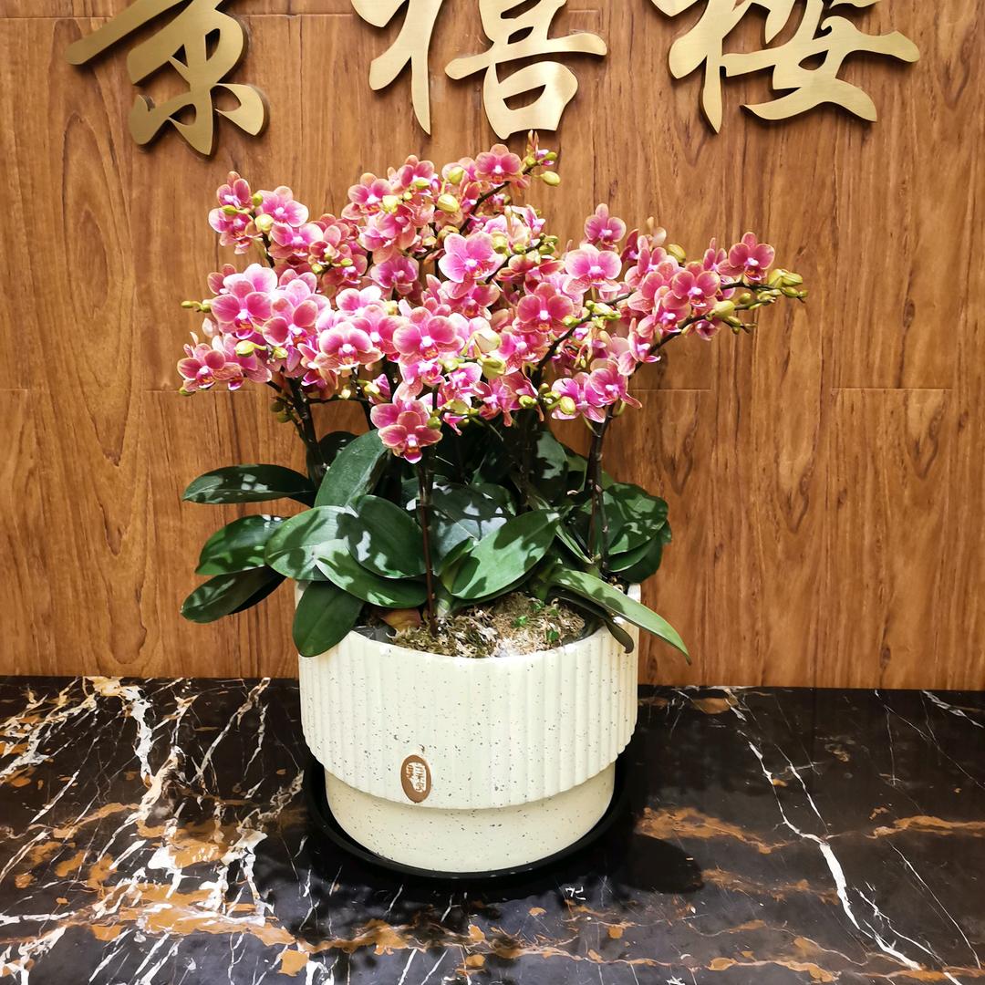 最好的时光！