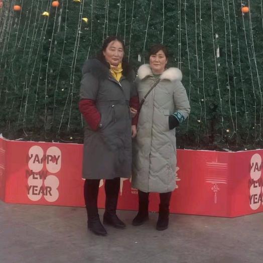 帅帅奶奶