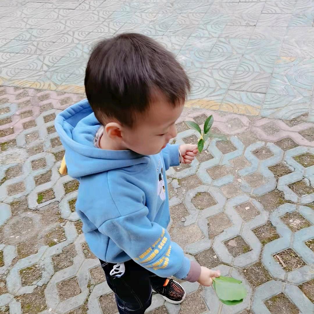 张来兄