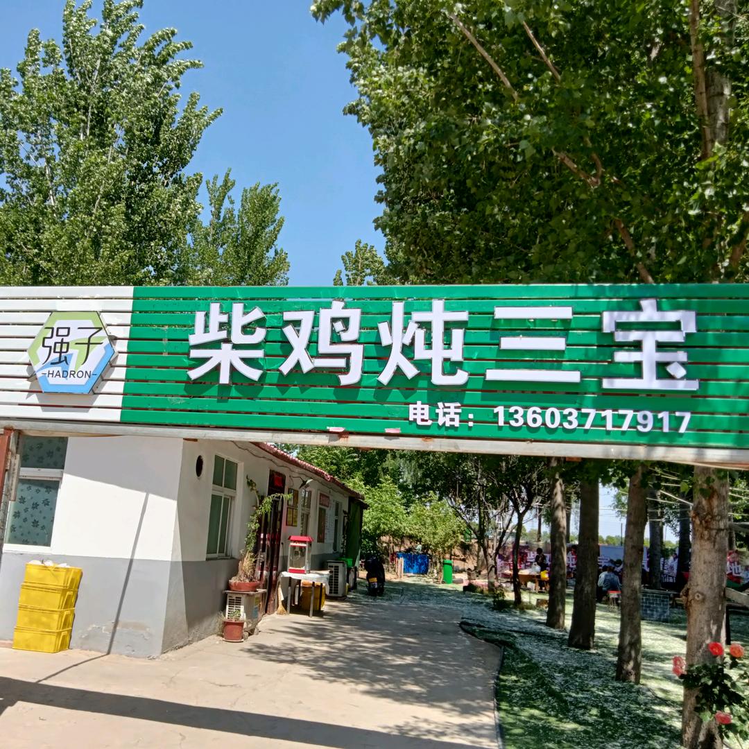 强子柴鸡炖三宝