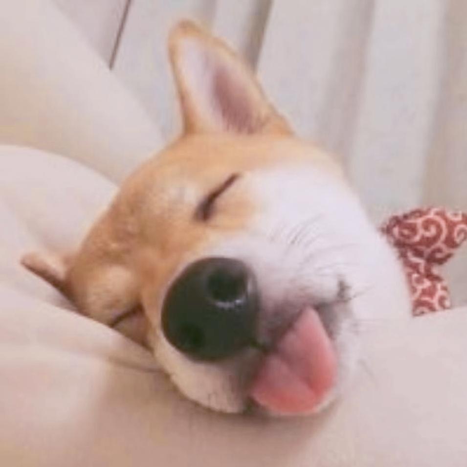 亚夕