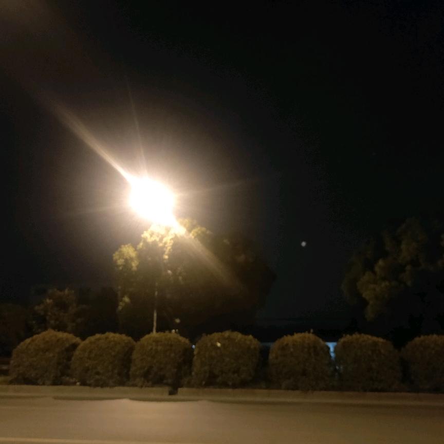长大之后只能奔跑