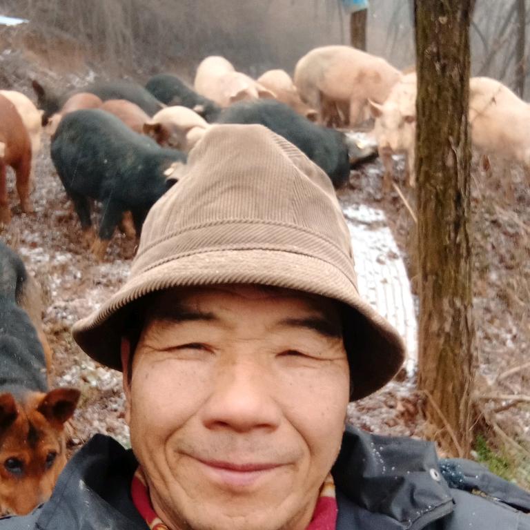 生态放养猪肉