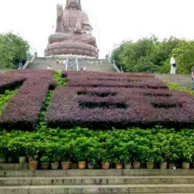 Wang广东惠州
