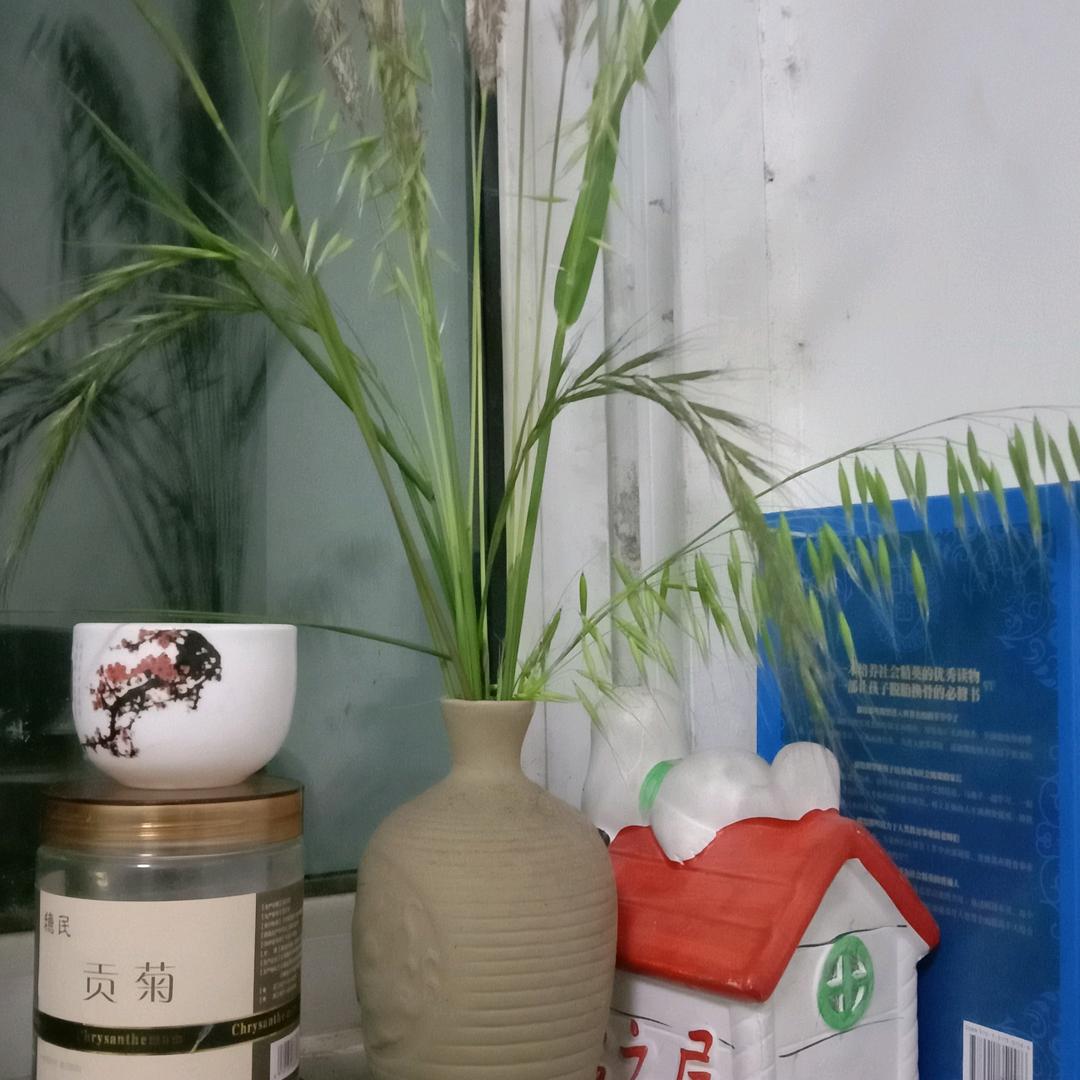 一往情深，深几许！（情感主播）
