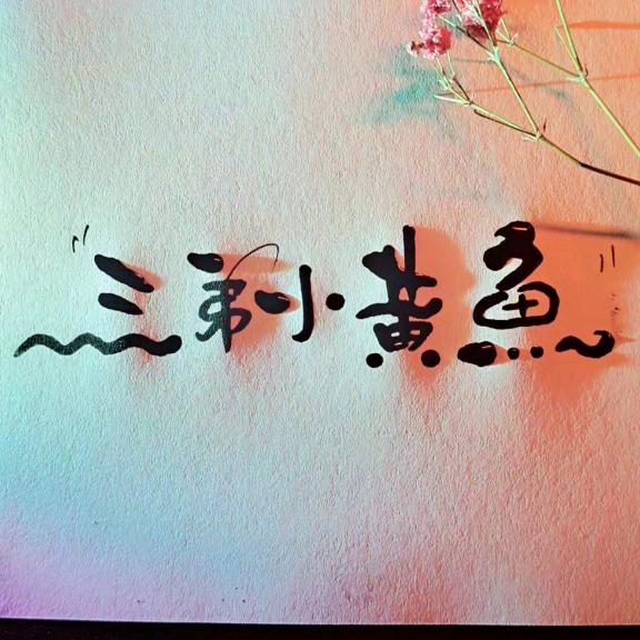 三弟小黄鱼总店