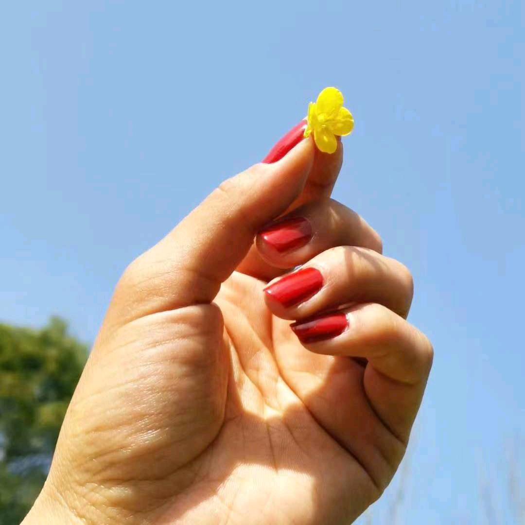 🥕穿胡萝卜衣服的女孩