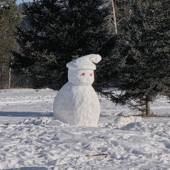 tempo很高兴认识你。