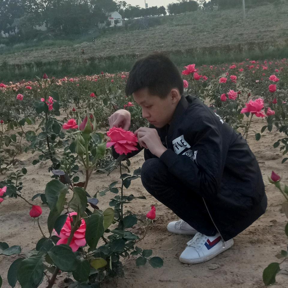 奋斗3520705304401