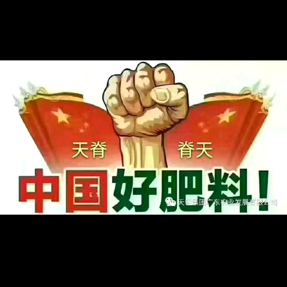 熊猫，班云明