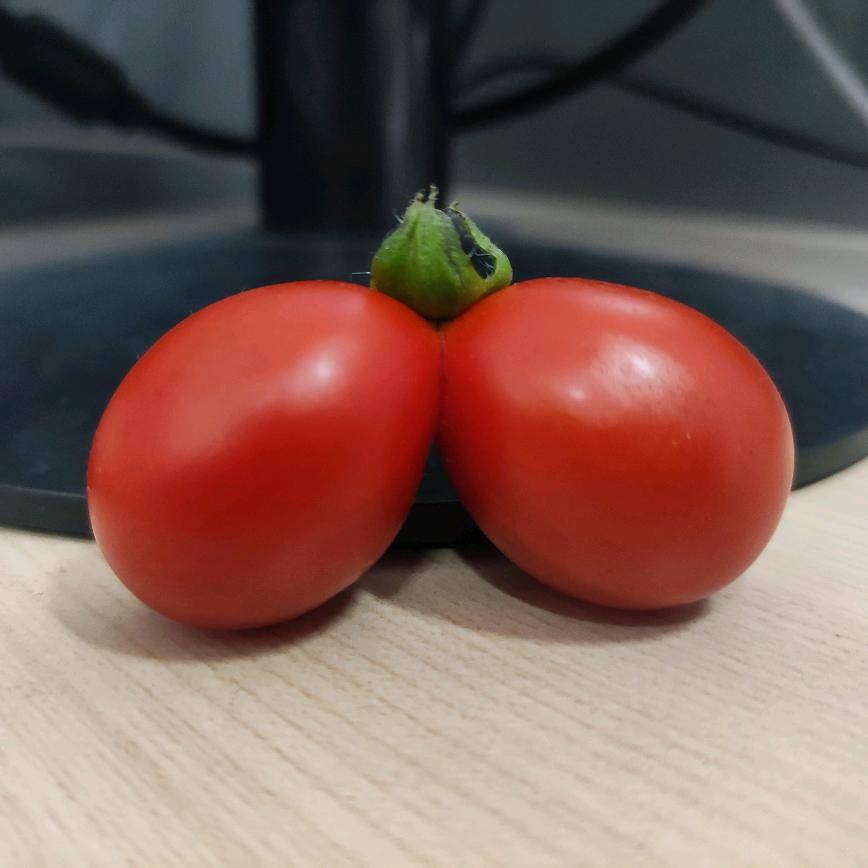 🌈精神小丸子(๑•̌.•̑๑)🌈